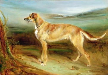 A Deerhound in a Landscape