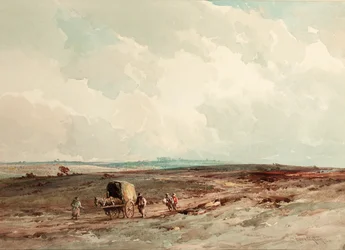 On Ashdown Forest Reserve