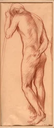 Male Nude