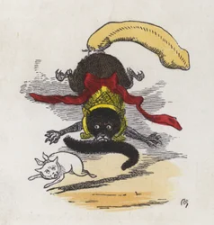 Fight between two cats