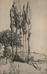 Cypress Trees Near Siena, 1903