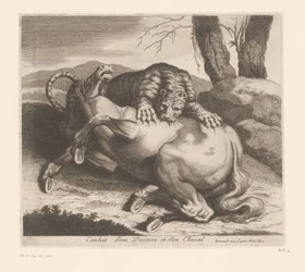 Fight between Panther and Horse (Animal Series)