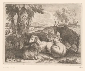 Sheep and Goats under a Tree (Animal Series)
