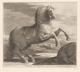 Rearing Horse (series title: Animal Series)