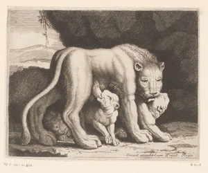 Suckling Lioness (Animal Series)