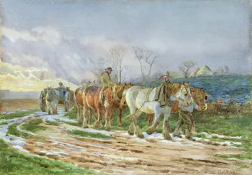 Homeward Bound