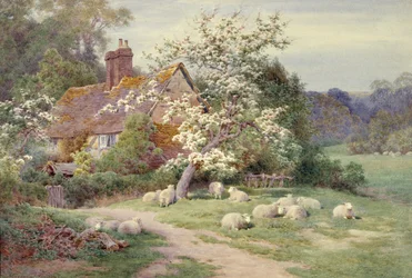 Sheep outside a Cottage in Springtime