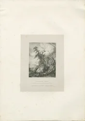 Himley Estate - 