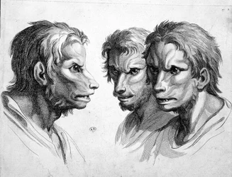 Three faces of werewolf - by Le Brun
