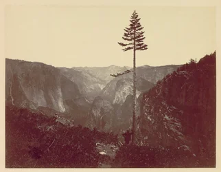 Yosemite Valley from Mariposa Trail, 1865