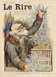 M. Ribot, Charmer of Blue Birds, Cover Illustration of Le Rire Rouge