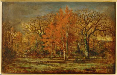 Forest Fringe