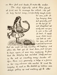 Alice Holding Her Ostrich, Illustration from Alice’s Adventures Under Ground, Pub. 1886 (Facsimile)