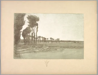 Suite de Paysages: Landscape, Plate 5, Remarque, Three Stalks of Wheat
