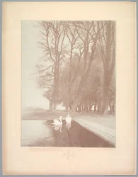 Suite de Paysages: Landscape, Plate 6, Remarque, Lilies