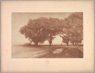 Suite de Paysages: Landscape, Plate 8, Remarque, Pansies
