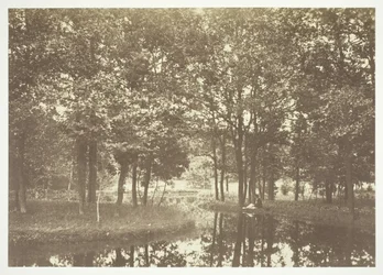 Untitled, c. 1850