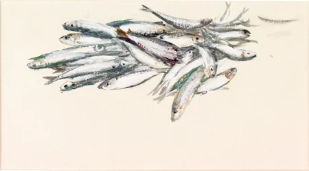 Study of Fish