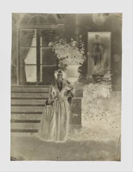 Portrait of a Woman, possibly Mme Ernest Feydeau