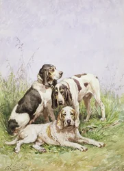 A Group of French Hounds