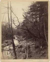 On Baker River, Breezy Point, N.H.