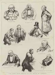 The Home Rule Debate in the House of Commons