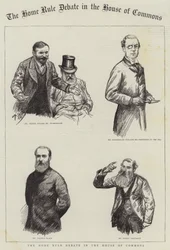 The Home Rule Debate in the House of Commons