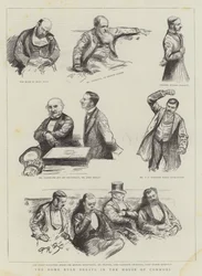 The Home Rule Debate in the House of Commons