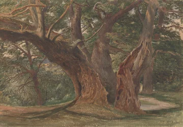 Trees in a Landscape
