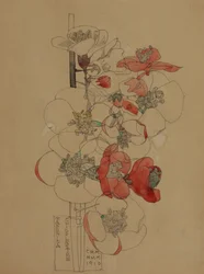 Japonica