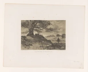 Landscape with Boundary Tree and Boundary Stone (title on object: Boundary Tree and Boundary Stone)