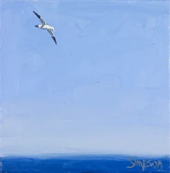 Gannet, 2010