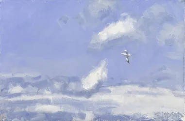 Gannet & Clouds, 2016