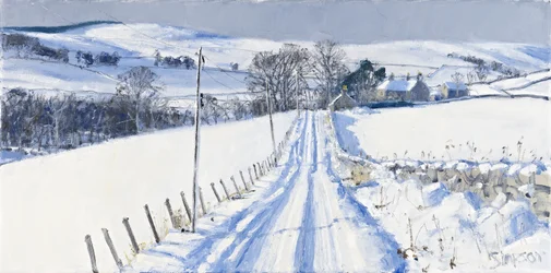 Snow, Newhall, 2010