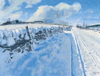 Snowy Road, 2014