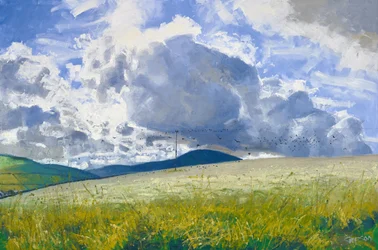 Stubble Field: Rooks & Crows, 2015