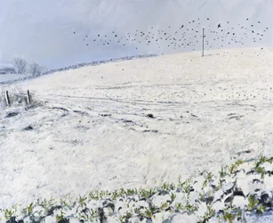 Winter Crows, 2012