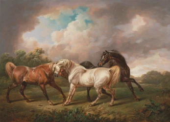 Three Horses in a Stormy Landscape