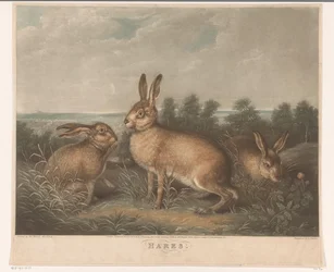 Three Hares