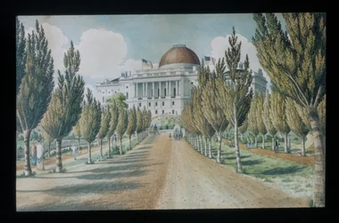 View of the Capitol