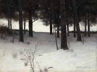 Woods in Winter