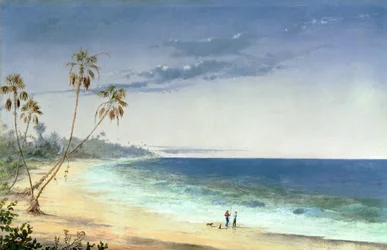 Cuban Landscape