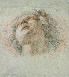 Head of a Youth, seen from below