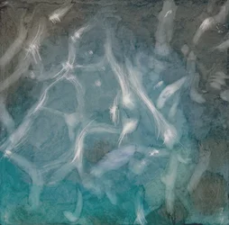 Aqua Marine