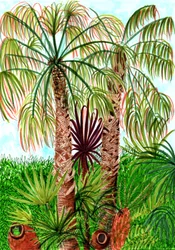 Barcelona Palms