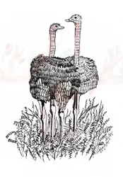 Flamingos, 2018