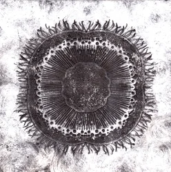 Plant Cells, 2019
