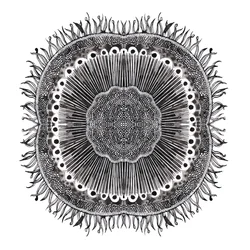 Plant Cells, 2019
