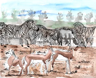 Safari 3