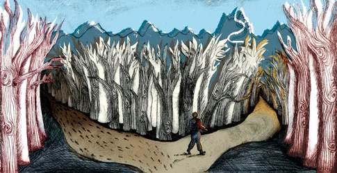 The Road Less Travelled